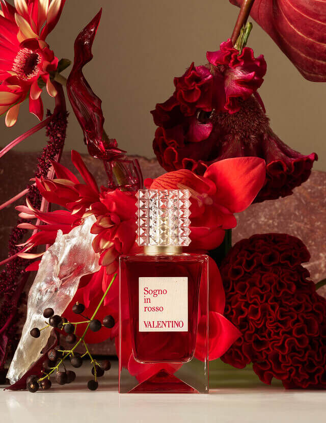 Anatomy of Dreams Hero Image 