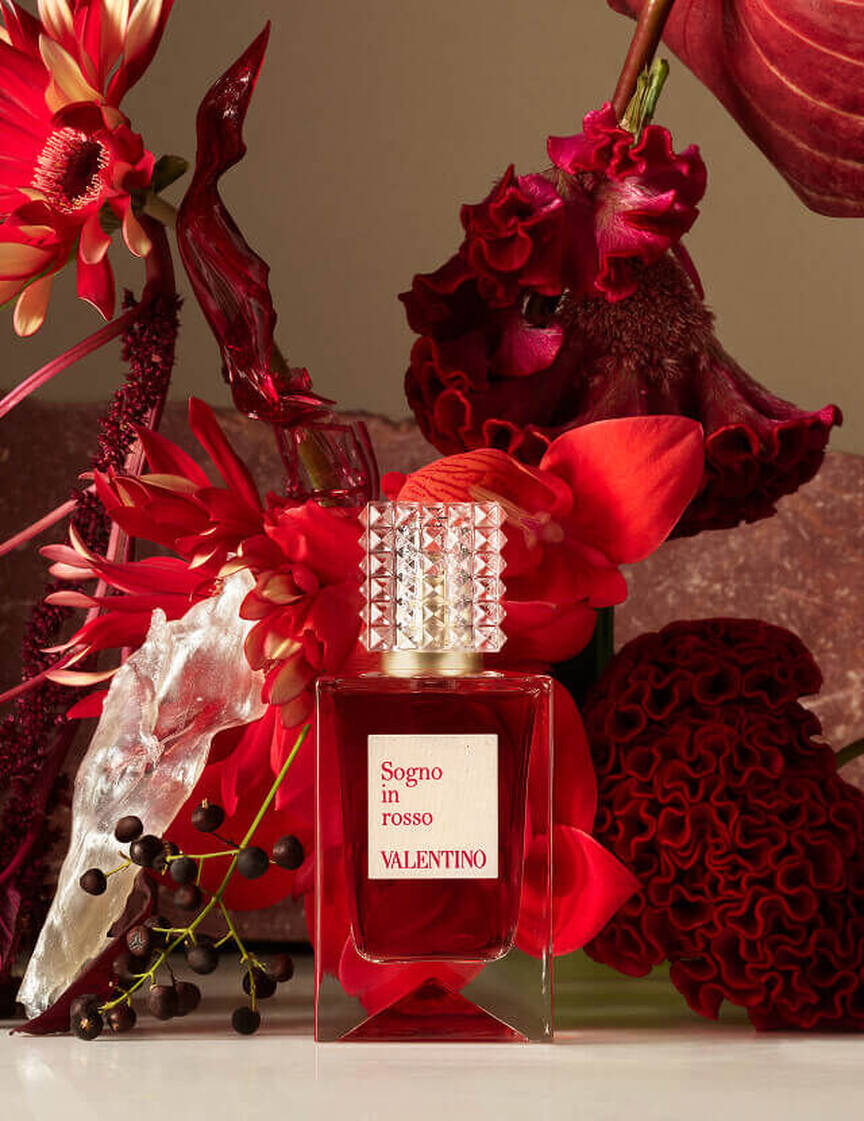 Anatomy of Dreams Hero Image