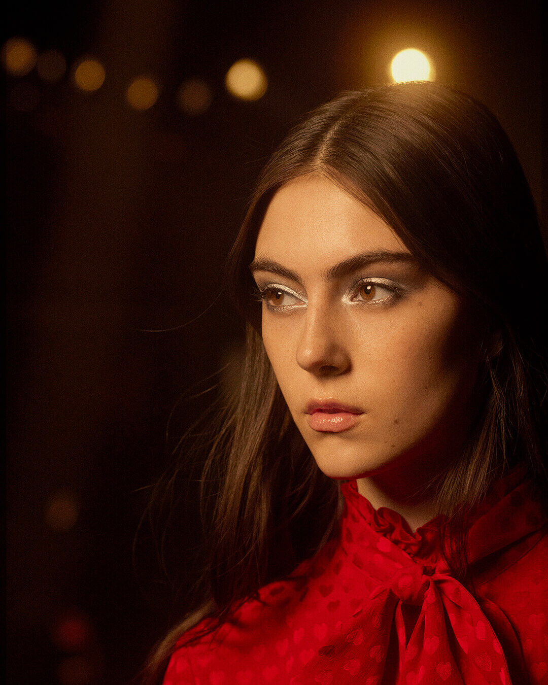 Holidays Model image