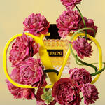 A vibrant arrangement featuring a yellow "V" and a floral display of deep pink peonies surrounding a bottle of Valentino fragrance against a soft yellow backdrop.