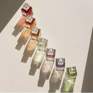fragrance finder Image