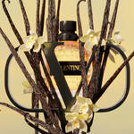 A perfume bottle surrounded by dark twigs and delicate white flowers, with the letter "V" prominently featured in the design.