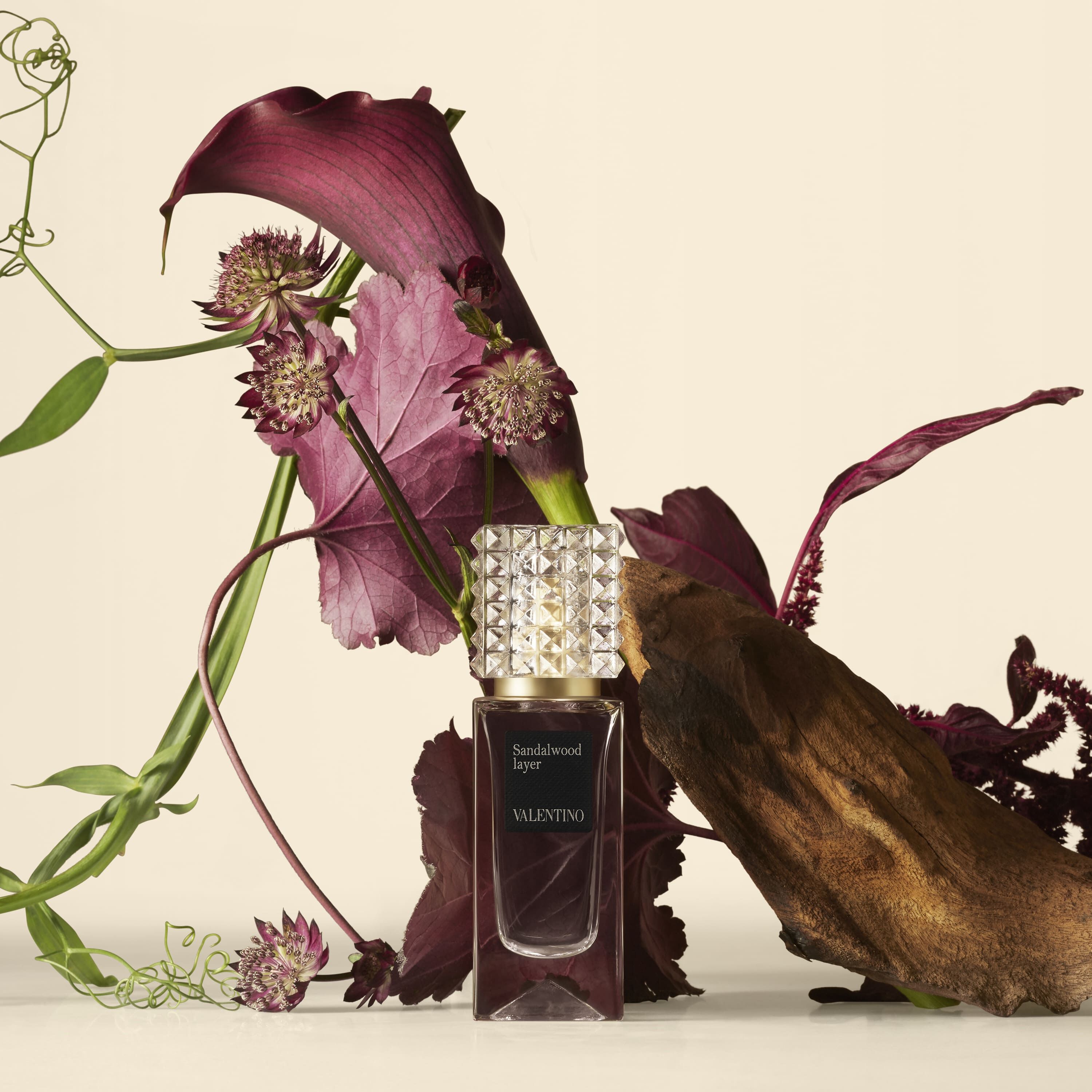 L’EXHAUSTEUR SANTAL
